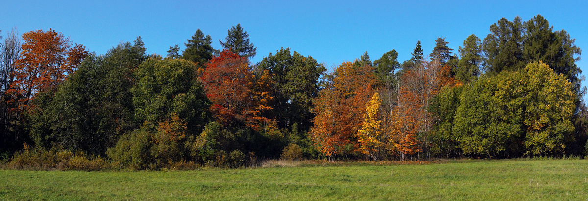 DSC_3849ev