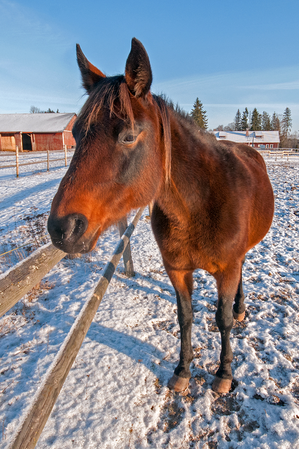 DSC_4293e.jpg